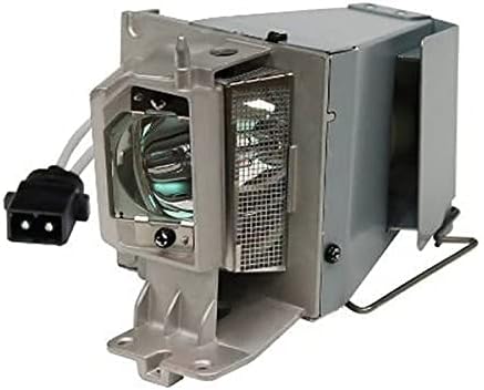 Algasan NP40LP / NP40-LP / 100014341 Replacement Projector Lamp Bulb with housing for NEC VE303G / VE303XG
