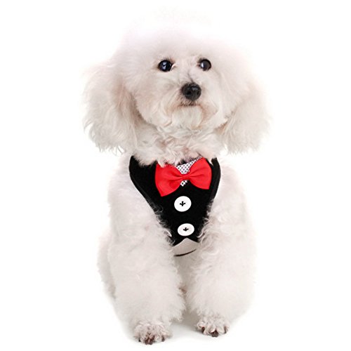 SMALLLEE_LUCKY_STORE Bowtie Small Dog Tuxedo Harness for Puppy Boy, Adjustable Soft Mesh Cat Harness Vest Leash Set Black L