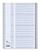 Produktbild ELBA 400027513 Universal-Register | 1 Stück | 20 Taben | 20-teilig | blanko | A4 | PP | grau