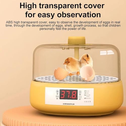Incubateur automatique d'oeufs avec contrôle de l'humidité, affichage de la température, bougie intégrée, tournage manuel pour poulet, canard, caille, design compact 18 W