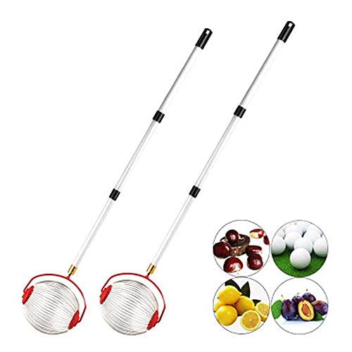 Rouleau Ramasse Noix, collecteur de Noix réglable Récolteuse de Fruits à Rouleaux de Jardin pour ramasser des Noix, des Glands, des Noix de pécan, des Boules et d'autres Objets sans se pencher