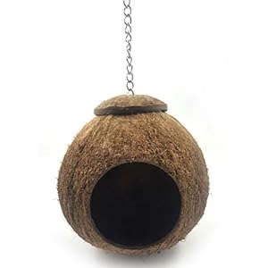 Vogelnest van natuurlijke kokosnootmossel, kokosnoot behuizing vogelnest, pet bird house kooi, voor parkieten…