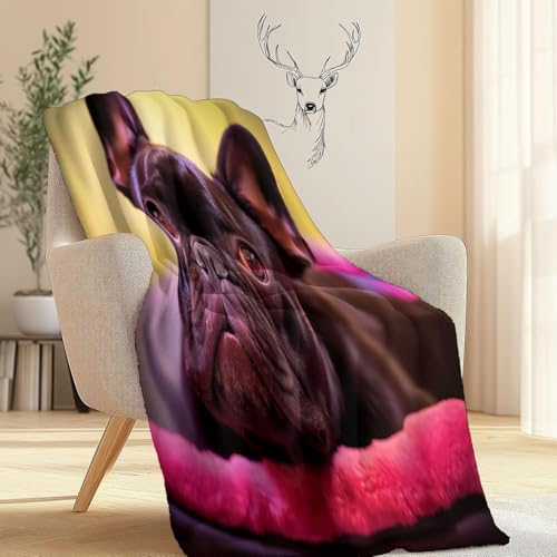 Flanell Kuscheldecke 130x170 cm Französische Bulldogge Decke Flauschig Hund Wohndecken Fleecedecken Weiche Warme Decken für Sofa, Couch und Bett A-0275
