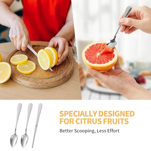 image for Amzlysdok Grapefruit Spoon & Knife Set,Stainless Steel Grapefruit Spoo