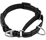 JuWow Martingale Nylon Safety Training Collar,Buckle Reflective Adjustable Heavy Duty Slip Collar fo