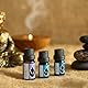 Essences Bulgaria BIO Schafgarbe Ätherisches Öl 5ml | Achillea millefolium | 100% Naturrein | Unverdünnt | BIO-zertifiziert | Spitzenqualität aus Familienbetrieb | Ohne Gentechnik | Vegan
