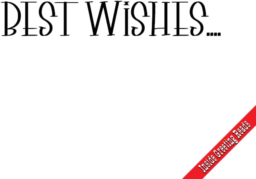 Wright Home & Gift Japanese Pogoda Happy New Year Greeting Cards | 36 Pack Bulk Set + 36 Envelopes (4x6)