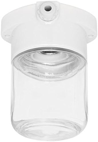 THPG 139629Lisi Lux Ceiling Light with Clear Glass 60Watt Thomas Hoof Product Gesellschaft