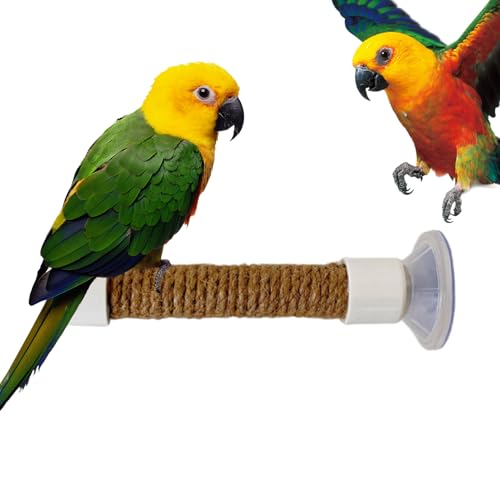 窓用バードパーチ | インコ 壁 ラック - オカメインコ キャトル マカウ 文鳥 バスケージ アクセサリー 吸盤パーチ