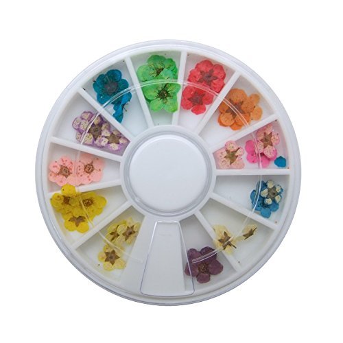 Goliton 36PCS Nail Art Accessories Dried Flowers Colorful Life Nail Flower Stickers for DIY Crafts Nails Decorations Nail Salon Nail Decals Nail Design for Nail Treatment Resin Jewelry