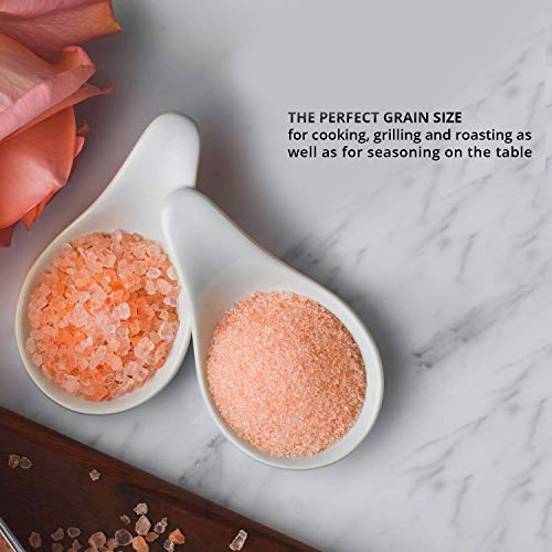 Salt 84 Pink Salt Shaker 12.49 Oz/Each - 9.36 Lbs Total, 12 Count #TOP1