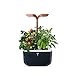 Produktbild Véritable Indoor-Garten Exky® SMART (Copper) Kompakter und autonomer intelligenter Garten mit Adapt-Light-Technologie - Mit 2 Lingots®