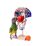 Birdie Basketball - Adjustable Height Parrot Basketball Trick Prop