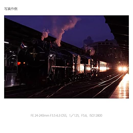 Sony 24-240mm f/3.5-6.3 Lens