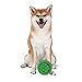 Marvel Comics for Pets Hulk-Hundespielzeug aus Vinyl, quietschendes Hundespielzeug mit dem unglaublichen Hulk-Faust-Logo, Kollektion, quietschendes Hundespielzeug, kleines Hundespielzeug