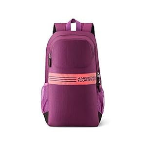 American Tourister Ace 22 Ltrs Magenta Casual Backpack (FK3 (0) 50 101)