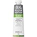 Winsor & Newton Liquin Impasto Medium, 200ml