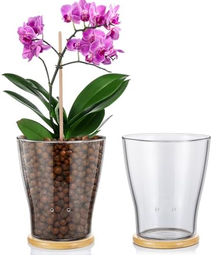 Baderke Vasos de orquídea de vidro com furos e bandeja de bambu, ...