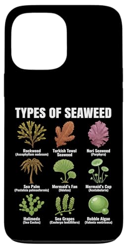 �C���̎�ށA�C����`���[�g�A�C���̎�� �X�}�z�P�[�X iPhone 13 Pro Max �p