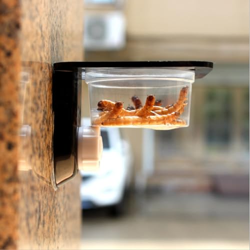 JVHLOV 2PCS Reptile Feeder, Reptilien Futternapf Saugnapf Plastik Wasser- und Futternapf, Anti-Flucht Eidechsen Futterschale, für Eidechse, Chamäleon, Skorpion, Gecko, Leguan