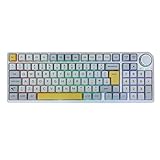 【96% Gaming Keyboard】El TH96 es un potente teclado repleto de funcionalidad en un diseño de primera calidad. Se siente completamente sólido debido a la placa de acero inoxidable, que añade peso y fuerza al tablero. Está diseñado de forma innovadora con la estructura de montaje de la junta de silicona, la espuma de absorción de sonido de silicona añadido, y una almohadilla inferior de amortiguación de silicona gruesa que todos proporcionan un sonido de escritura sensible y tranquilo.