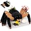 Spider With Insects