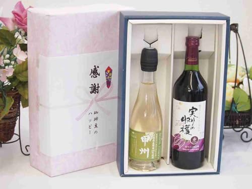 実りの秋の贈り物 感謝の贈り物ボックス 国産山梨県産スパークリングワインと国産ワインセット(実りの収穫 赤ワイン やや甘口(山梨県)720ml山梨県産葡萄100%甲州スパークリングワインやや辛口 375ml)