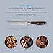 Messermeister Avanta Forged 5” Fine Edge Steak Knife Set - German X50 Stainless Steel - Rust Resistant & Easy to Maintain - Includes 4 Steak Knives
