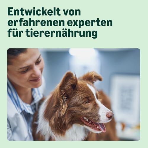 by Amazon Hundefutter für ausgewachsene Hunde (Adult) Aller Rassen, Fein zubereitetes Trockenfutter reich an Huhn und Reis, 5 kg (1er-Pack)(Zuvor eine Marke von Lifelong, gleiches Produkt)
