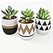Modern 4-Inch Ceramics Succulent Planter Flower Pots Mini Planter Indoor for Cactus or Small Plants