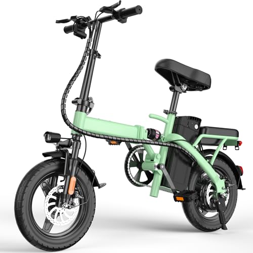 Foldable Electric Bike for Adults and Teens