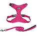 Best Pet Supplies Voyager Step-in Lock Dog Harness and Reflective Dog Leash Combo Set with Neoprene Handle 5ft Long - Supports Small, Medium and Large Breed Puppies/ Cats - Fuchsia (w Leash), XS
