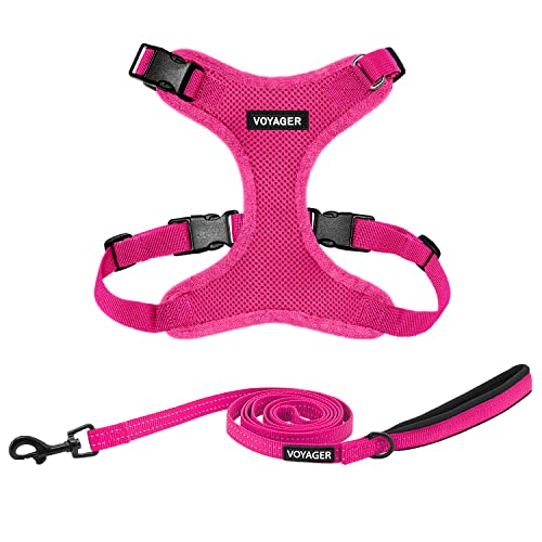 Image of Best Pet Supplies Voyager Step-in Lock Pet Harness w Reflective Pet Leash Combo Set with Neoprene Handle 5ft - Supports Small, Medium and Large Breed Puppies /Cats - Fuchsia Set, L