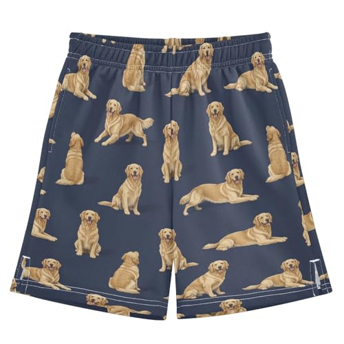 ARGTILDN Dog Golden Retriever Navy Blue Boy's Shorts Summer Casual