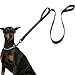 hundeleine für Grosse Hunde, reflektierend-e Nylon Führleine, Leine Hund gepolstert Neopren Handschlaufen, Doppelgriff, Geeignet für mittlere bis große Hunde 150*2.5CM.