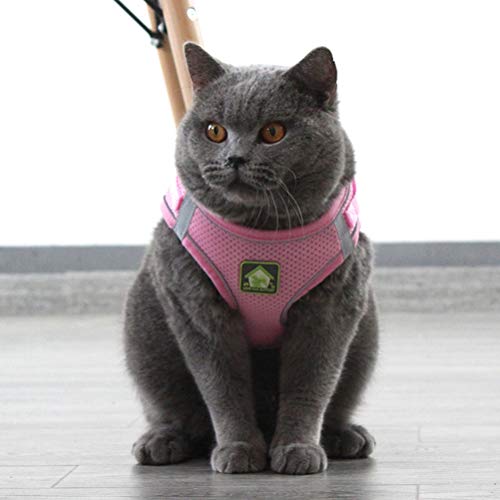 Acessórios para coleira de cachorro- Conjunto de colete e trela para cães Arreios para animais de es