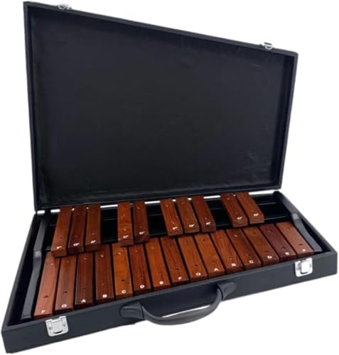 Demanca ؋ 25 RpNg؋ yߋ ׂ^\ Ŋy yߋ tp Mtg ؐ y  ^ѕ֗, obOt͑i (25bhEbh,Օ)