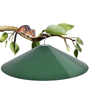 24-inch Large Outdoor Squirrel Baffles for Bird Feeders Pole and Hanging, Bird Houses for Outside Pole Mounted Squirrel Guard for Shepherd’s Hook, 1 Pack