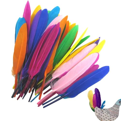 Plumas a Granel Artesanales | 50 Fotos, Plumas Artesanales Naturales, Plumas de Color Arco en- para, decoración de fiesta de boda hecha a mano, Plumas de Colores mezclados para trav