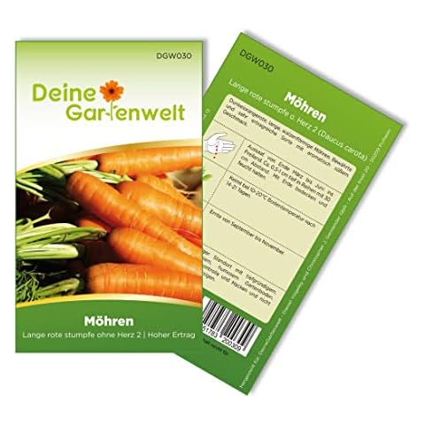 Möhren lange rote Stumpfe ohne Herz 2 Samen - Daucus carota - Möhrensamen - Gemüsesamen - Saatgut für 800 Pflanzen Cover