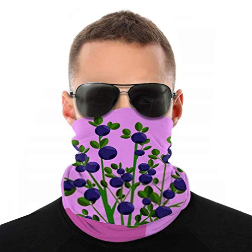 Bandeaux pour hommes Femmes Cache-cou, masque facial, bandeau, écharpe Icône Blueberry Bush Turban Multi écharpe Double face imprimé Bandeaux d'entraînement pour le sport en plein air Cover