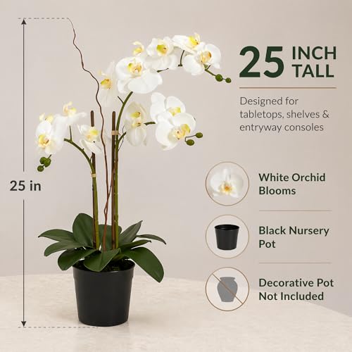 Soul Relaxation 25-Inches Artificial White Orchid Plant (Without Pot) - image 4