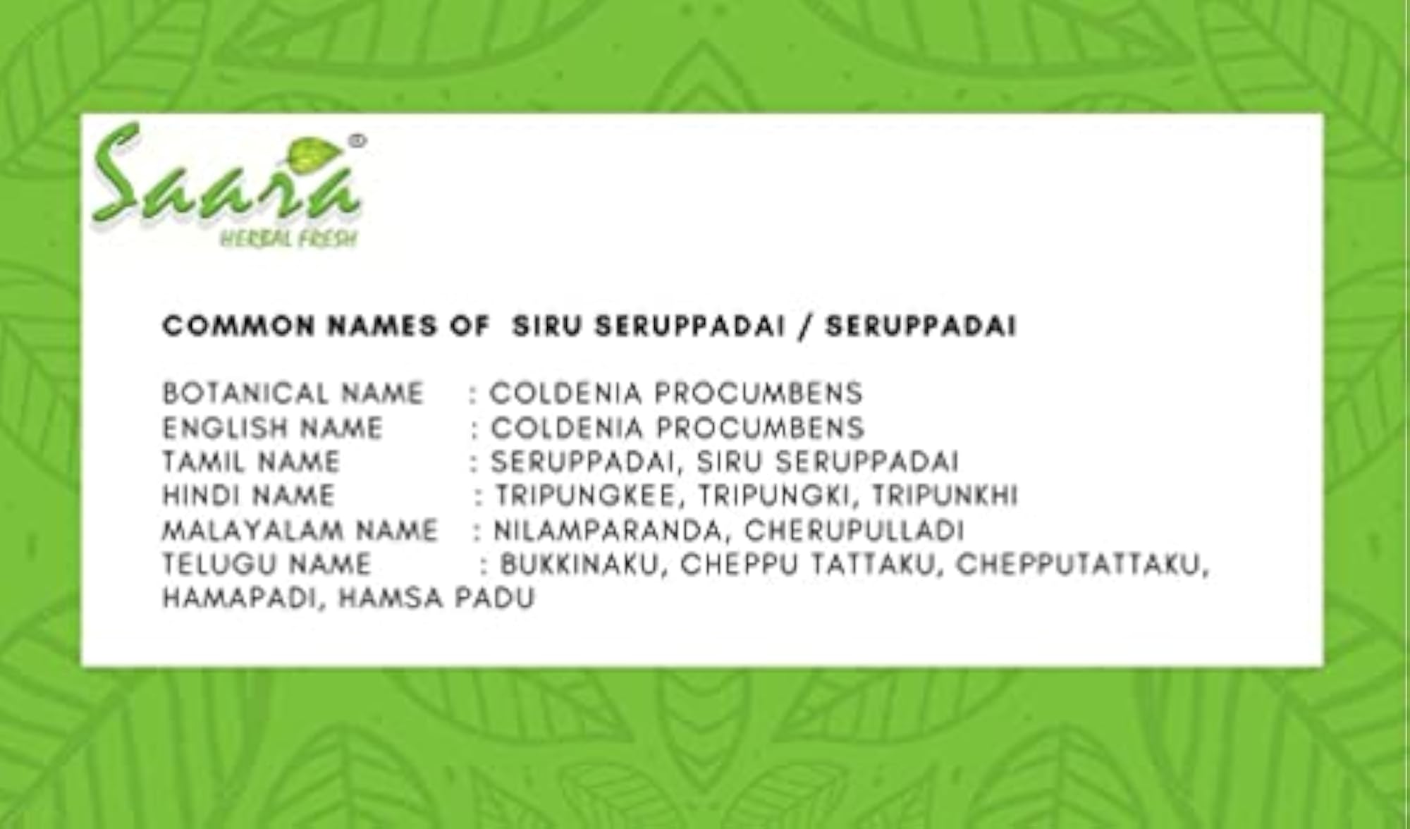 Siru Seruppadai Powder, Pack of 3 (100g each)