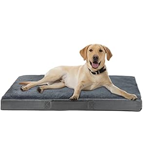 Nepfaivy Cama para Perros Grandes Impermeable – Cama Ortopedica para Perros Desenfundable, Colchoneta para Perro Grande Lavable, Sofa para Perros, Cojin para Perro, XL(105cm*70cm)
