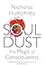 Produktbild Soul Dust: The Magic of Consciousness