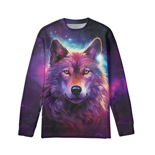 HUIACONG Cool Starry Wolf Boys Sweatshirts Galaxy Wolf Kids Athletic Pullover Child Long Sleeve Shirt Toddler Sportswear Young Casual Clothes Tshirt Active Sweater Size 8-10