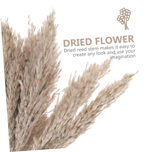 Ramo de Flores Secas Naturales Hemoton 15 piezas con Caja miniatura 3