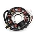 1 PC Motorcycle Stator Coil 55439204000 Compatible With KTM 250 300 XC XC-W EXC EXC CDK Compatible With Husqvarna TE250 TE300 TX300 Magneto