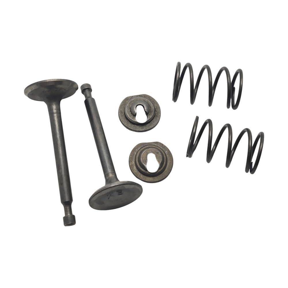 Kit de Placa guía de Varilla de Empuje de válvula Compatible con Motor GX160 GX200 5.5HP 6.5HP 168F 14791-ZE1-010, Bomba de Agua, desbrozadora