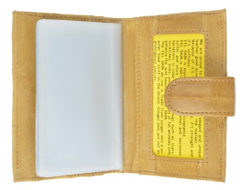 100% Genuine EEL Skin Credit Card Case Tan #E570